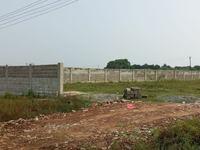 pulicat muur 400.png